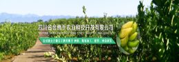 四川省金佛手農業科技開發有限公司